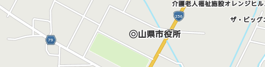 山県市周辺の地図